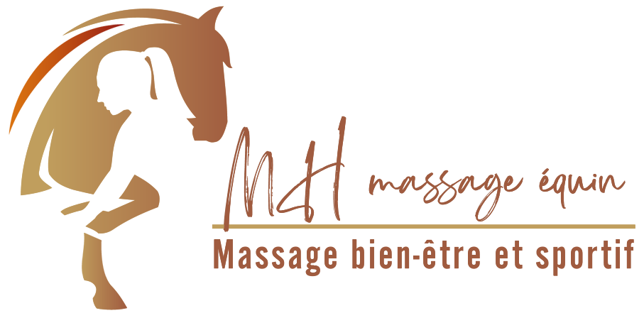 MH Massage équin