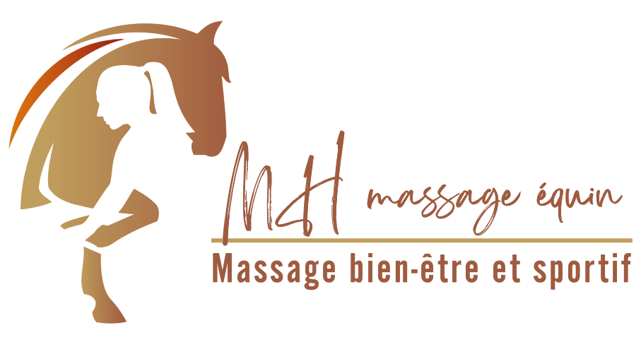 MH Massage équin