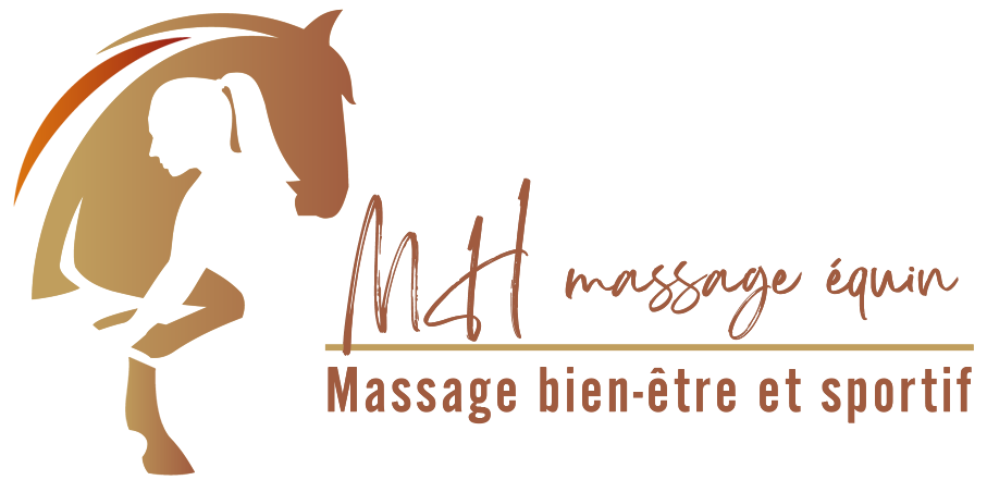 MH Massage équin